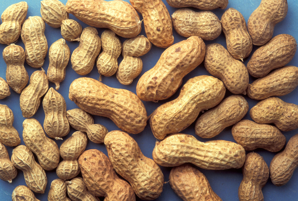 5 Reasons To Attend The 2014 Peanut Festival