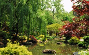 4 Absolutely Breathtaking Georgia Gardens to Visit this Summer ...